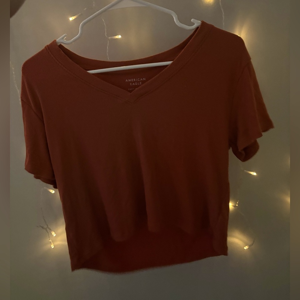 American Eagle Outfitters Women's Burnt Orange Crop Top